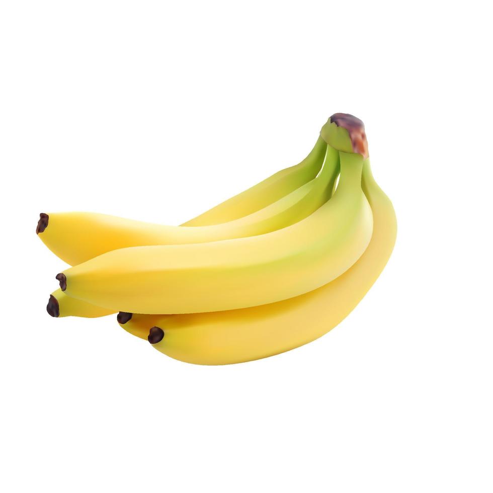 Realistic Yellow Banana Fruit in Vector