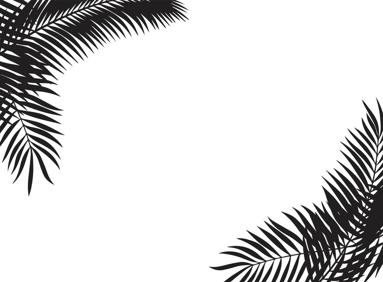 Black leaves of palm tree vector