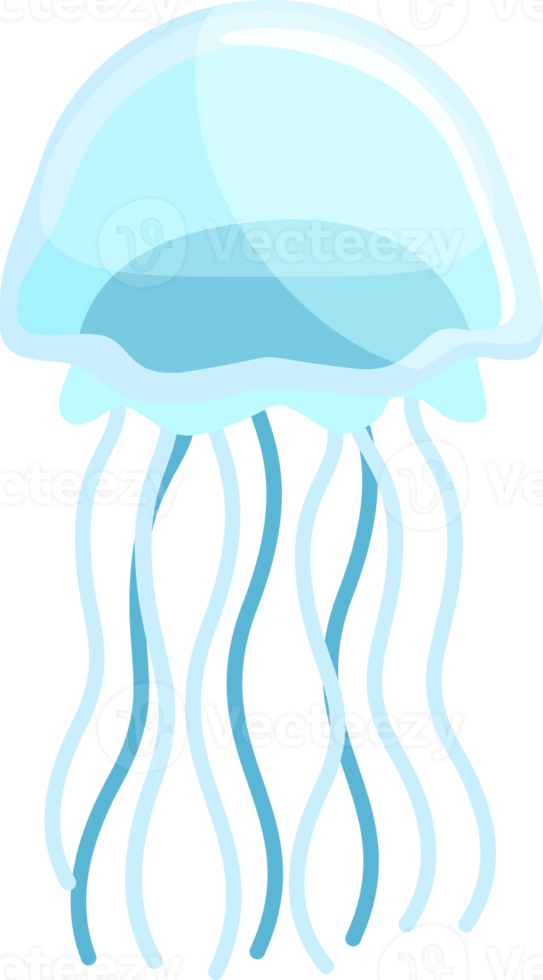 Jellyfish flat color png