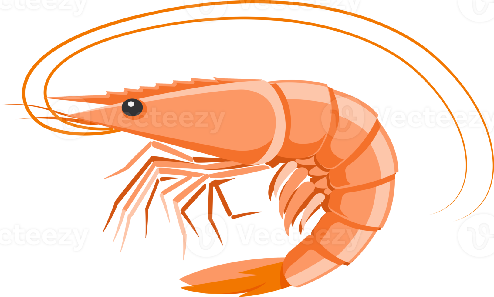 Shrimp flat color png