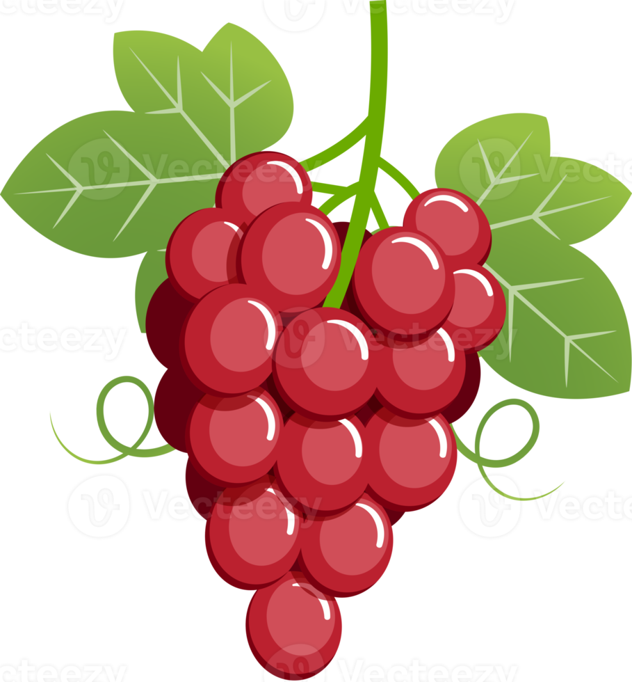 ilustración de color de uva png
