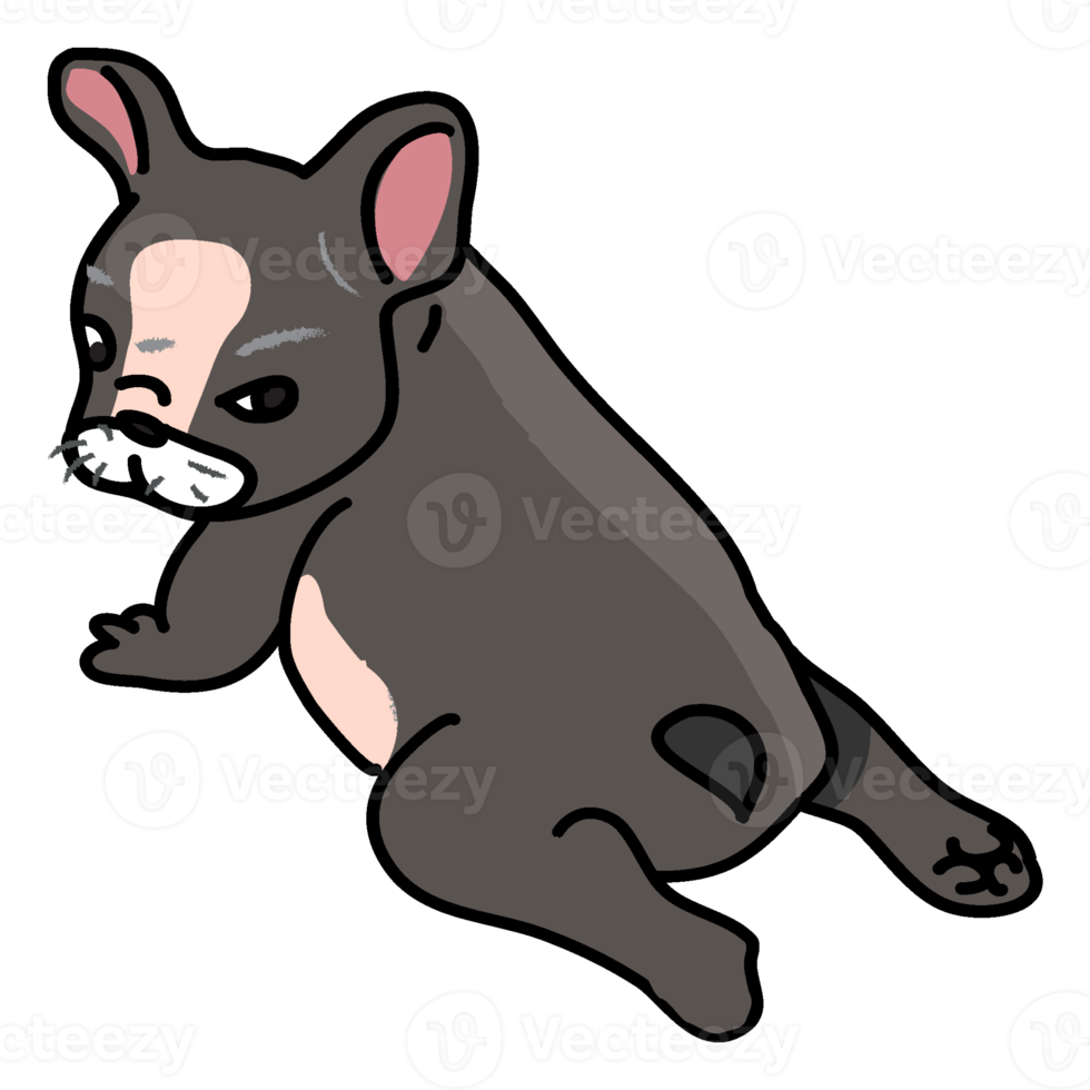 Cute French bulldog cartoon isolated png