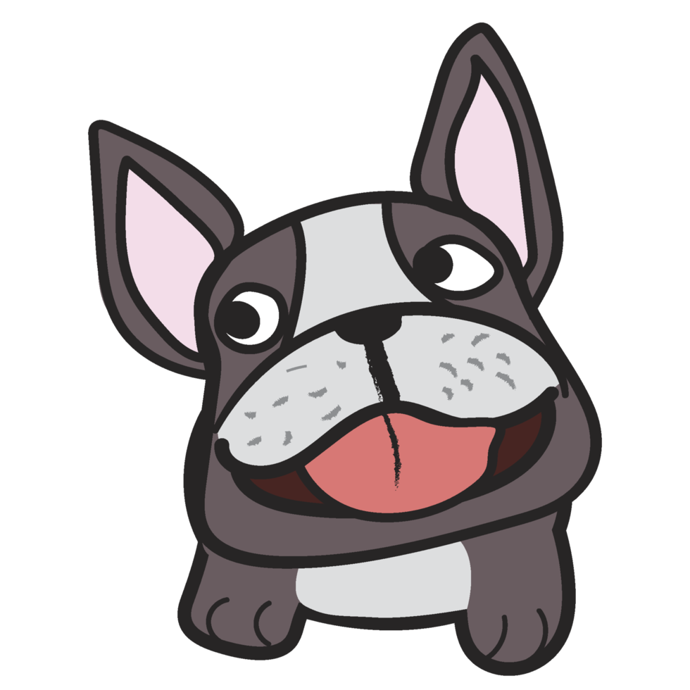 Cute French bulldog cartoon isolated png