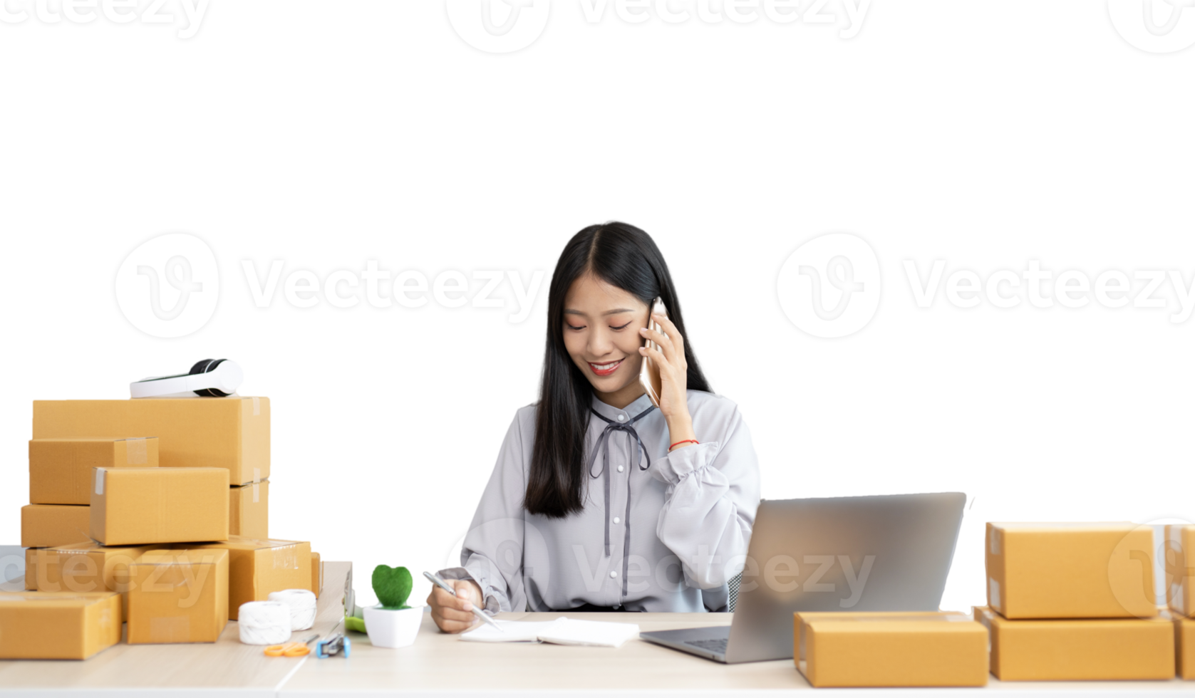Sell products online png