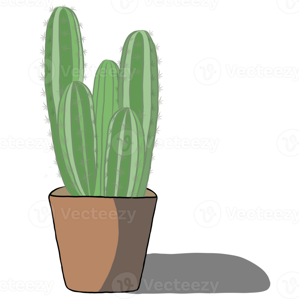 Cactus plant in the pot. png