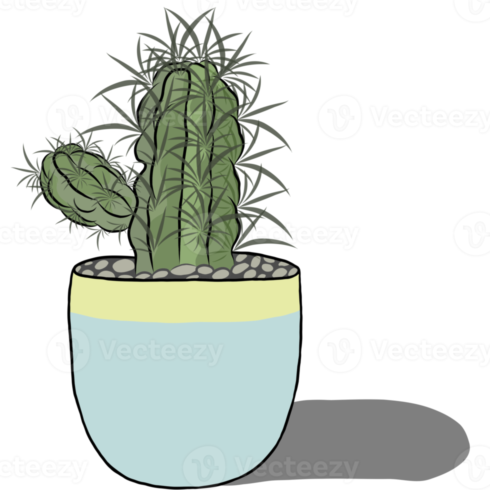 Cactus plant in the pot. png