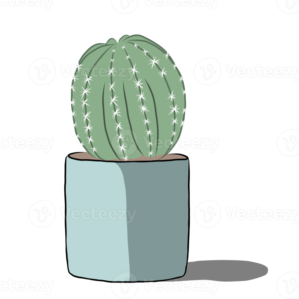 Cactus plant in the pot. png