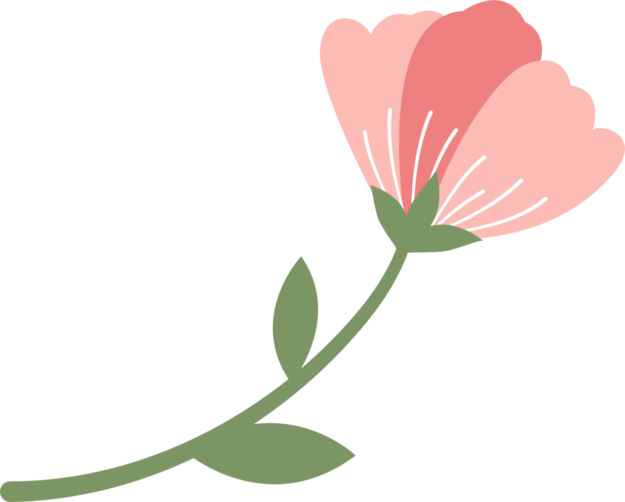 Colorful flower element png