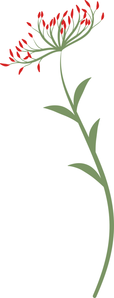 Colorful flower element png