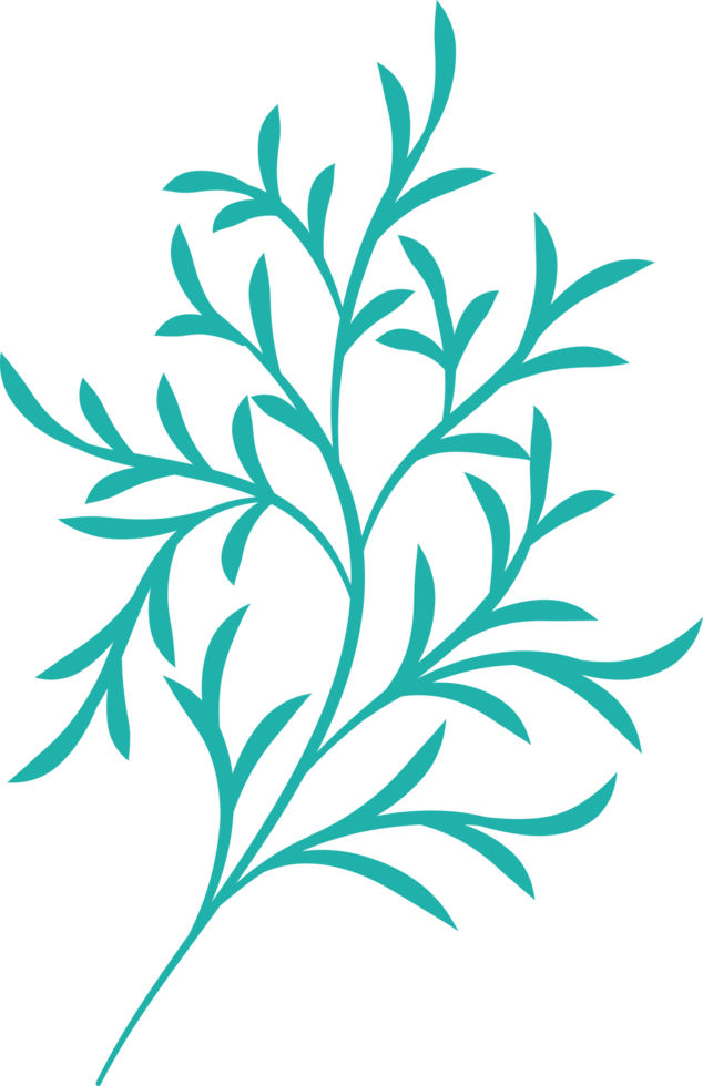 Colorful flower element png