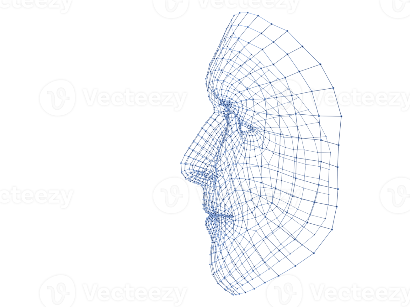 3 D Human head medical scan. Model wireframe png