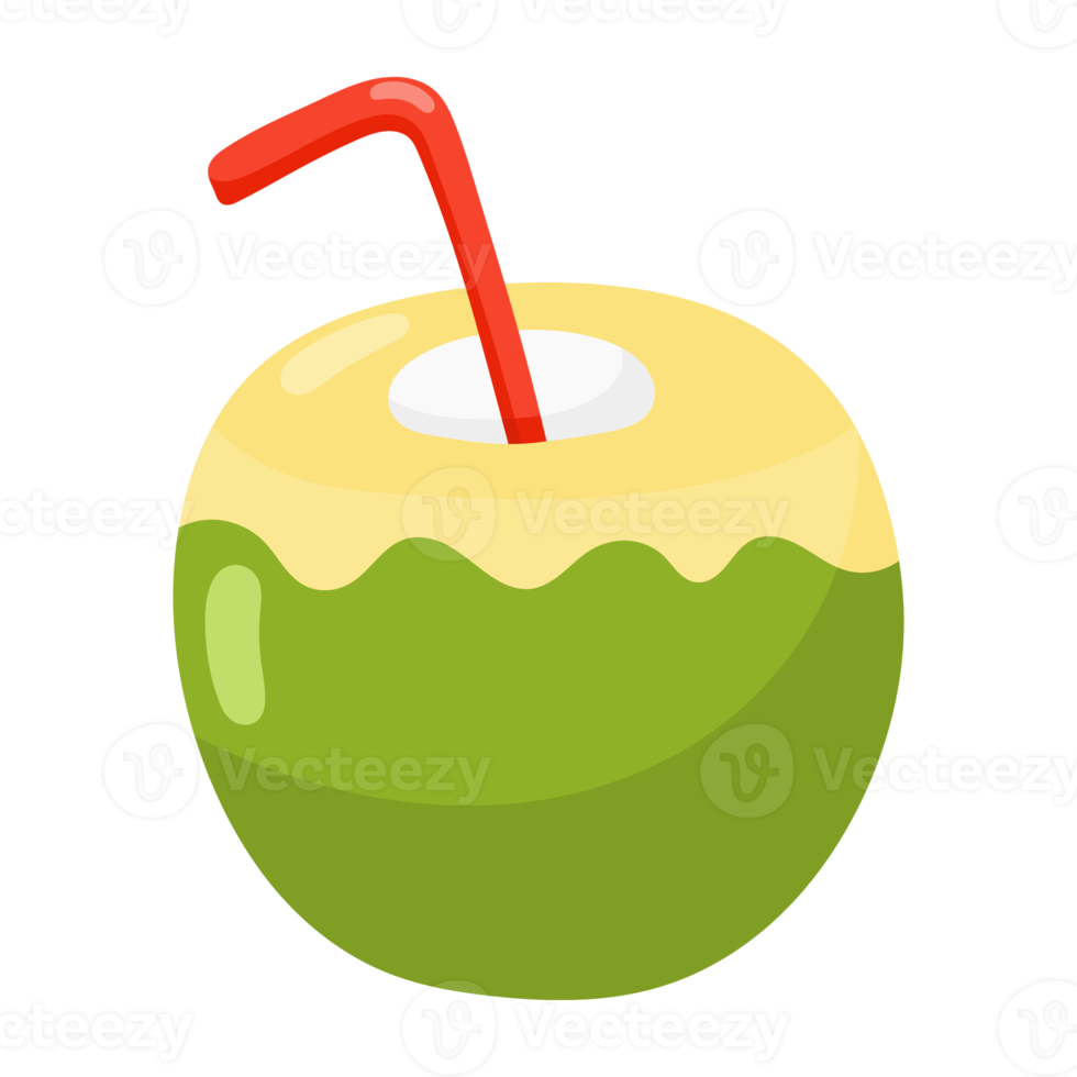 Coconut Drink icon. png