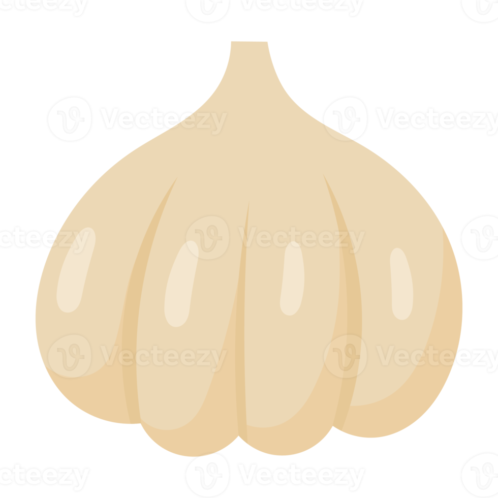 Cartoon Garlic icon. png
