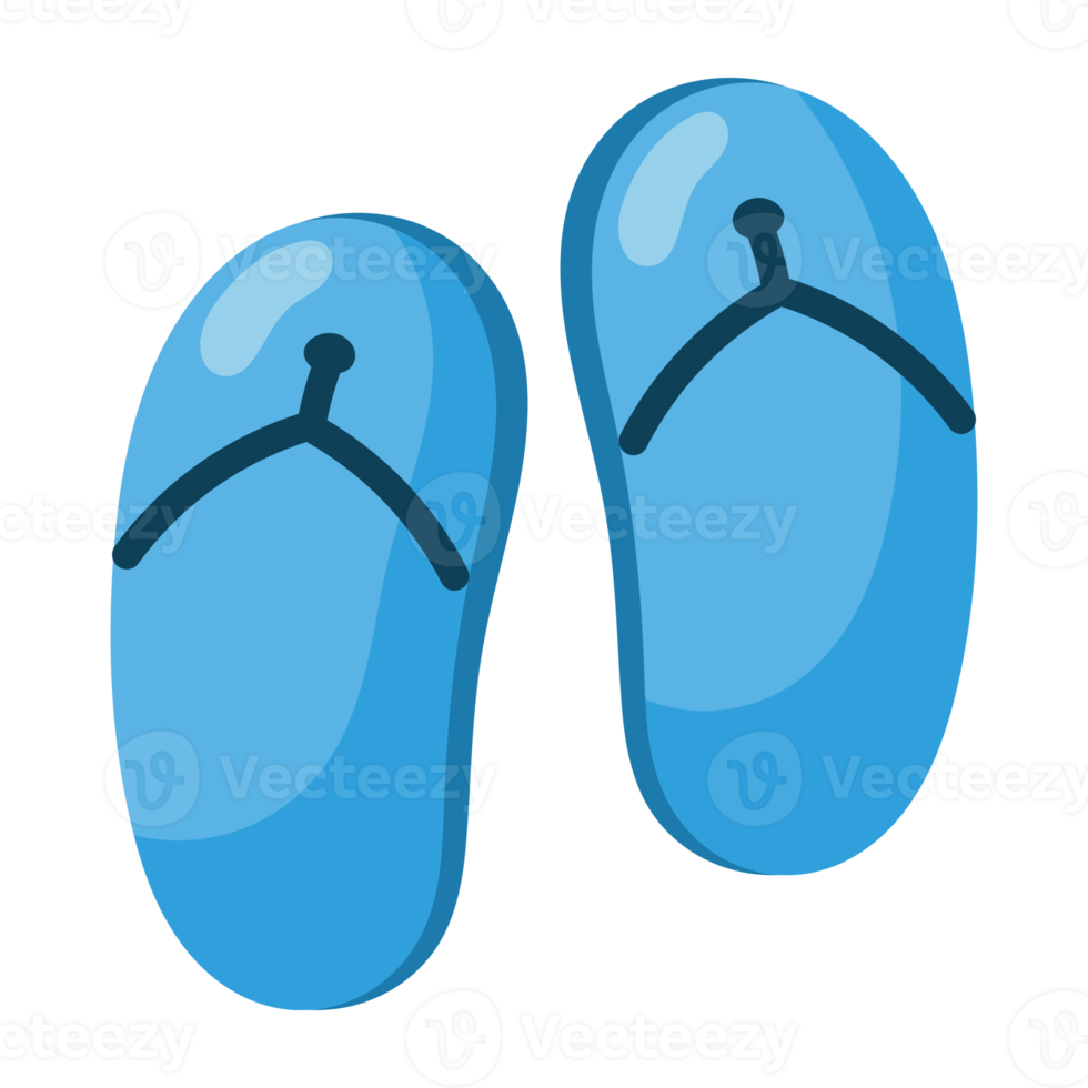Flip Flops icon. png