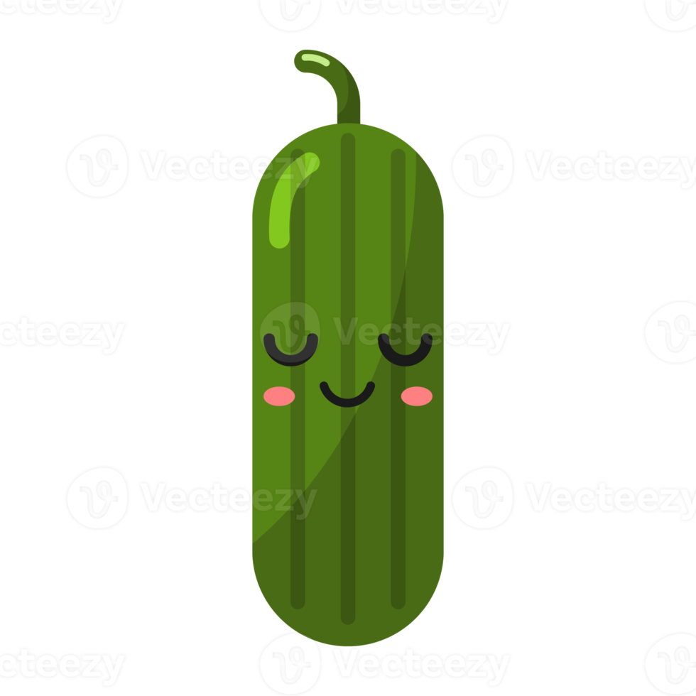 tecknad serie zucchini ikon. png