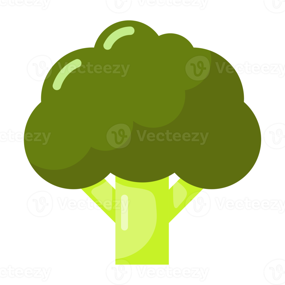 Cartoon Broccoli icon. png