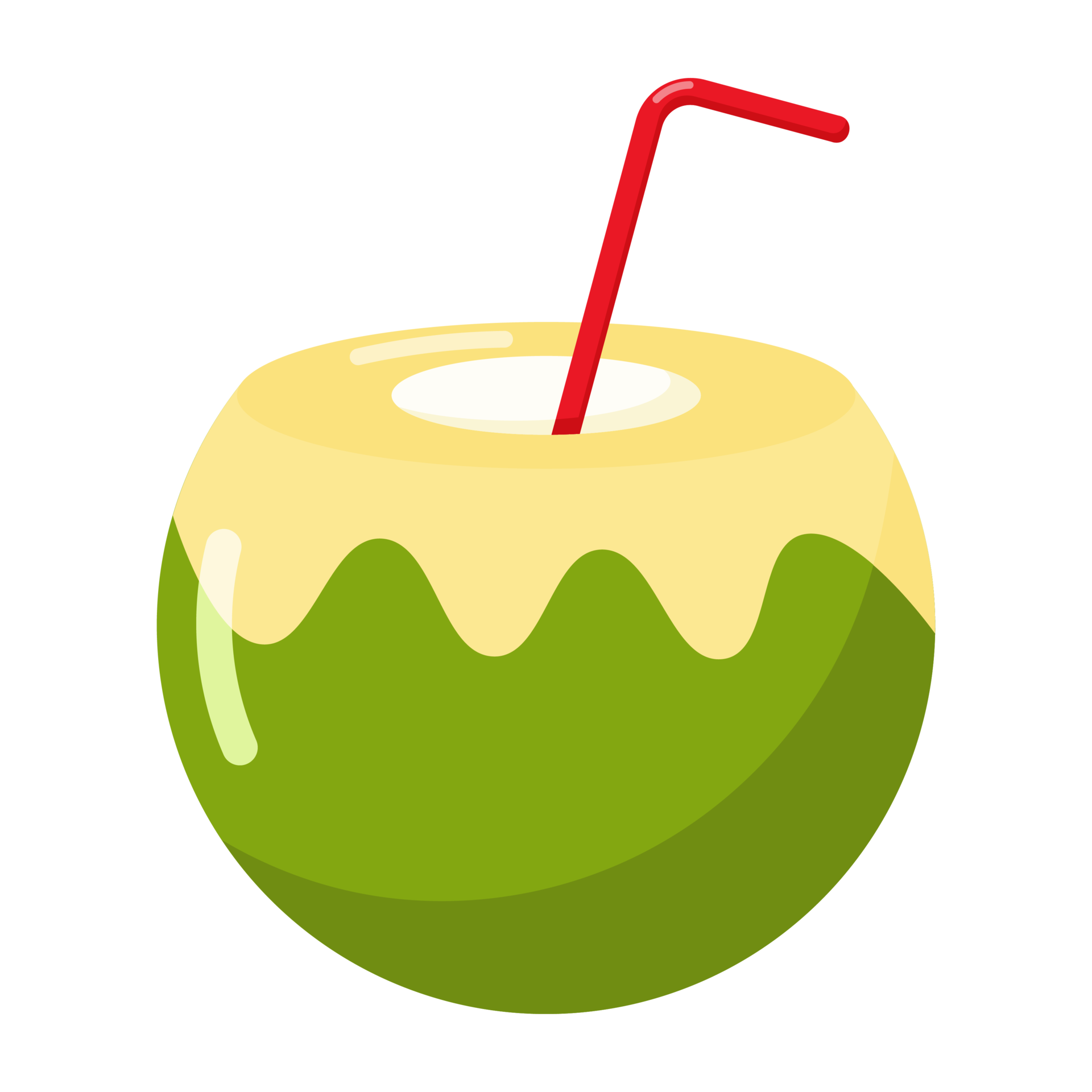 Coconut Drink icon. 18931443 PNG