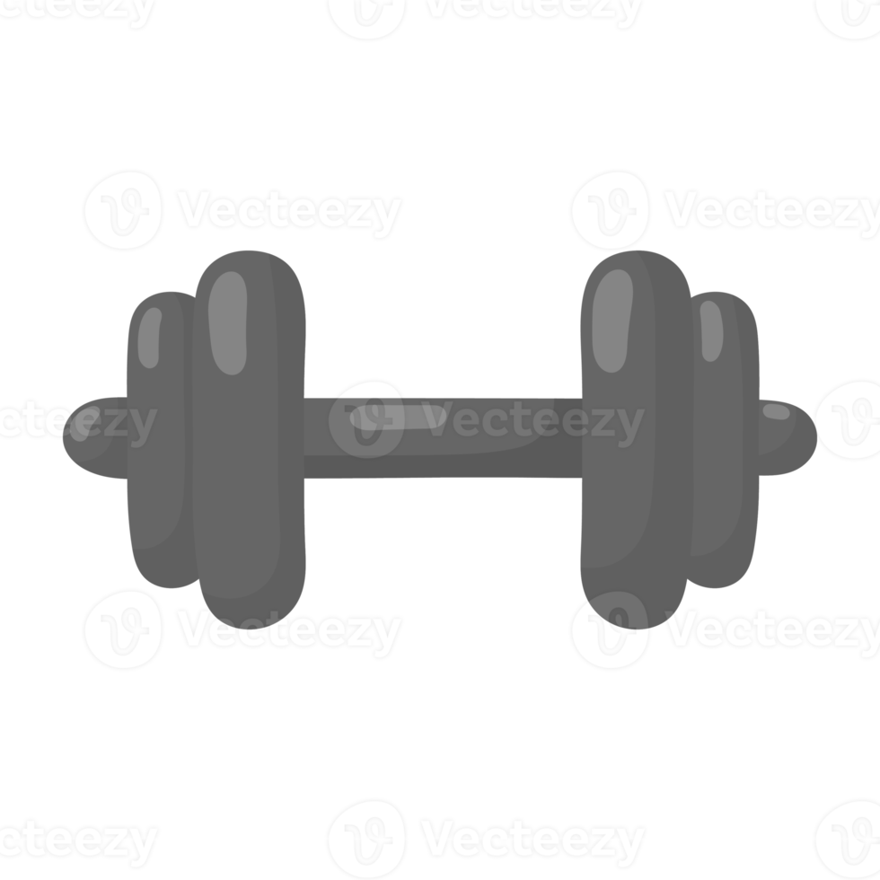 sport dumbbell icon. png