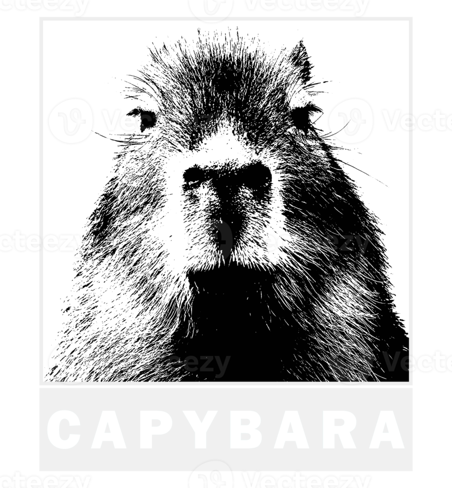 The Capybara's Vintage png