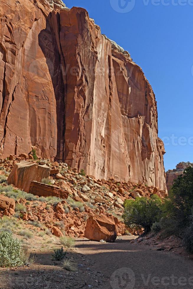 Red Rock Cliff Rising from the Canyon Floor photo