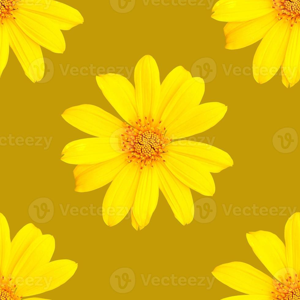 pattern of yellow flowers for summer photo