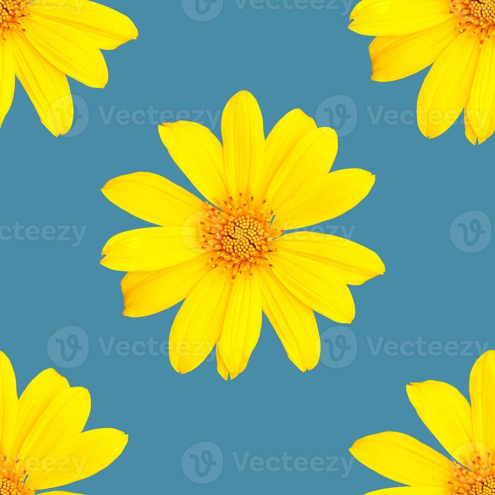 pattern of yellow flowers for summer photo
