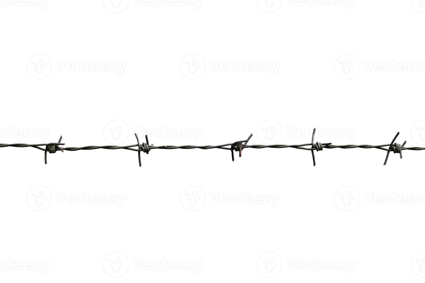 barbed wire isolated on white with clipping path photo
