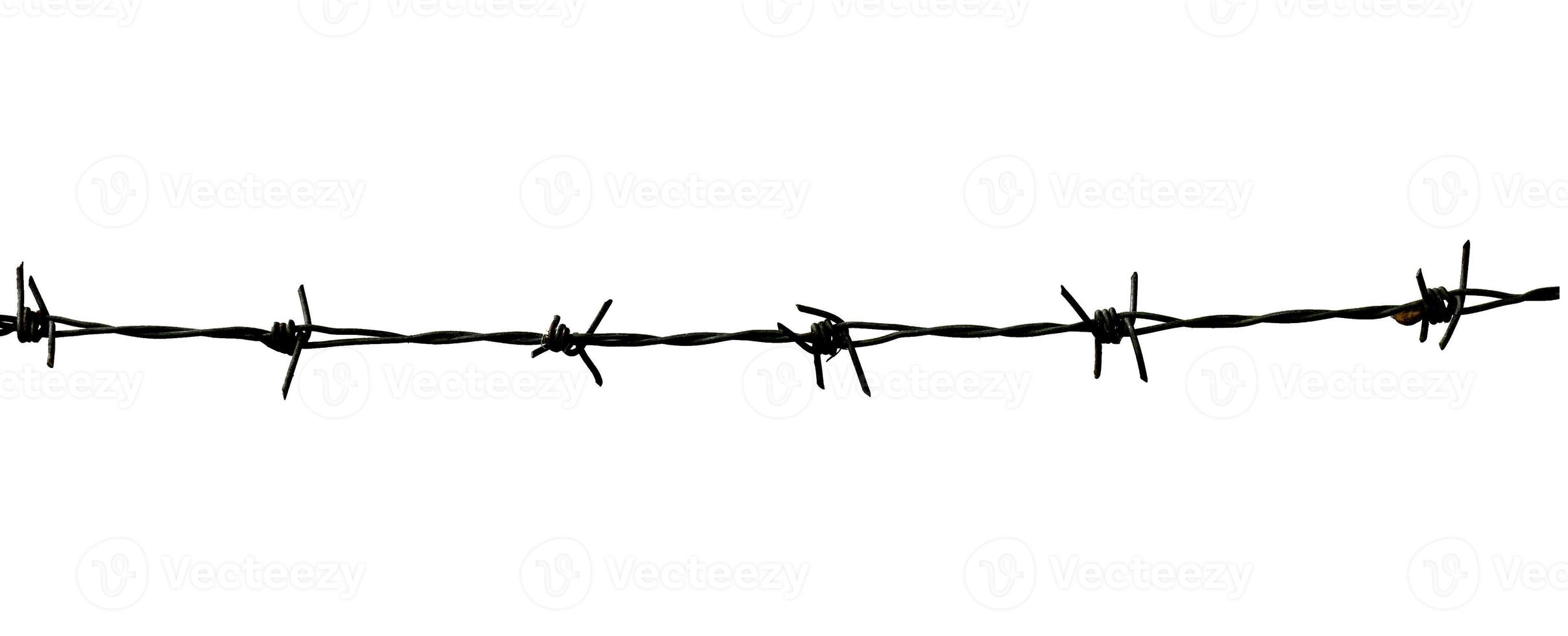 barbed wire isolated on white with clipping path photo