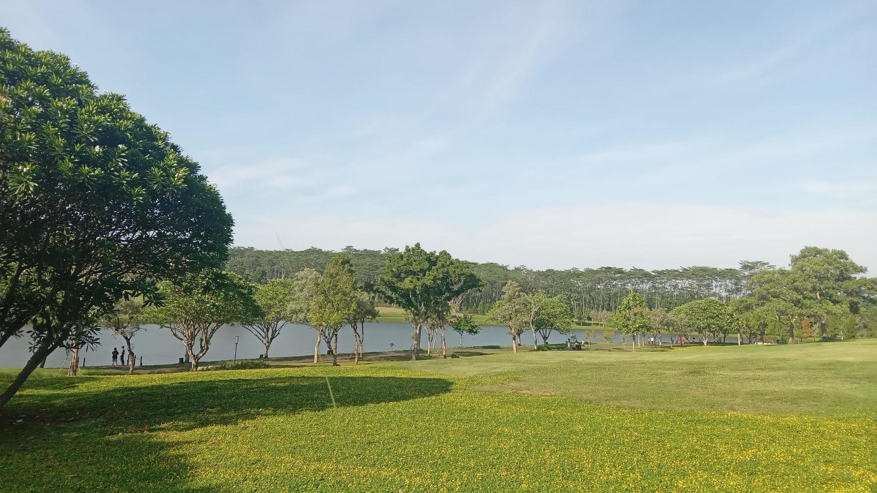 vista del paisaje del parque con lago en semarang indonesia foto