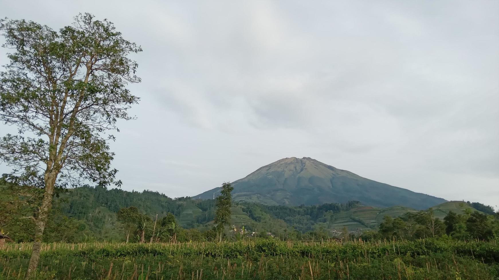 Mount sumbing landscape view photo