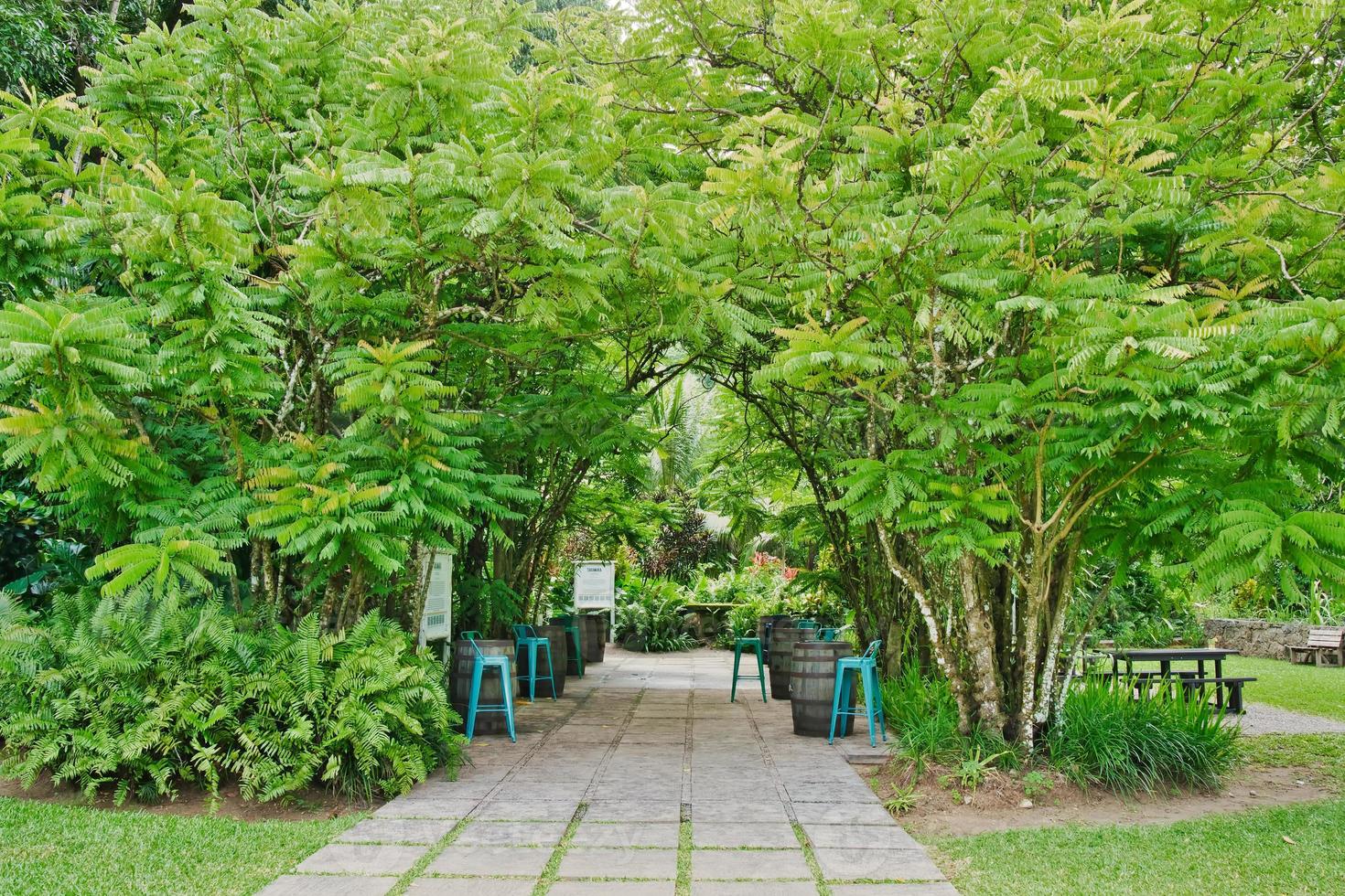 Garden outside the rum distillery, bilimbi trees, barrel are used for tables photo