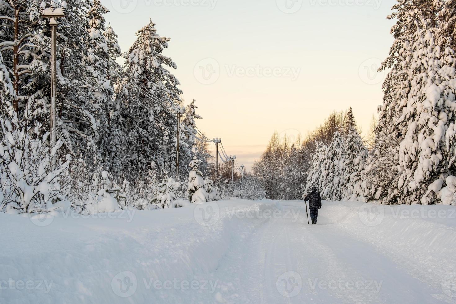 el hombre camina por un camino rural, despejado de nieve, pasando por un bosque cubierto de nieve. maravilloso paisaje de campo de invierno. foto