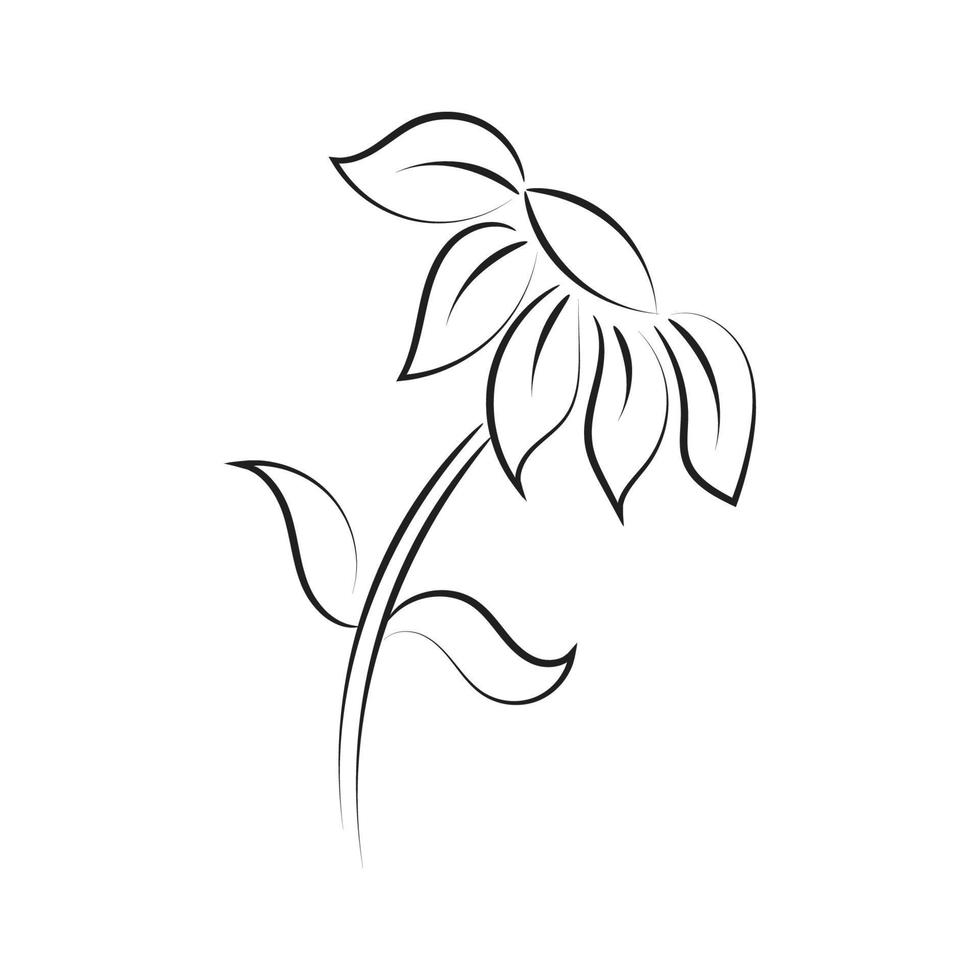 Black silhouettes, flowers and herbs isolated on white background. Hand drawn sketch flower vector