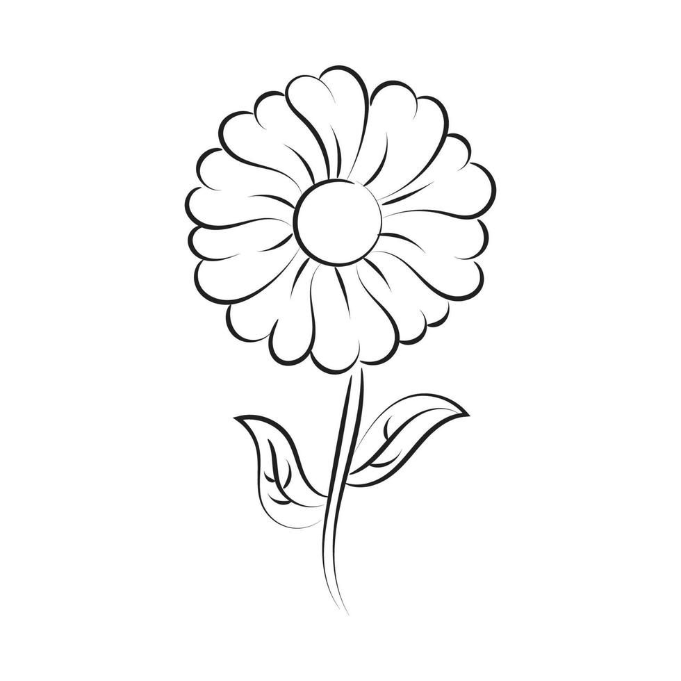 Black silhouettes, flowers and herbs isolated on white background. Hand drawn sketch flower vector