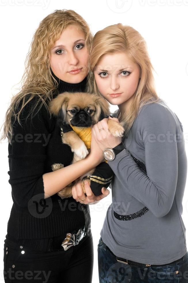 two pretty young women with pekingese photo