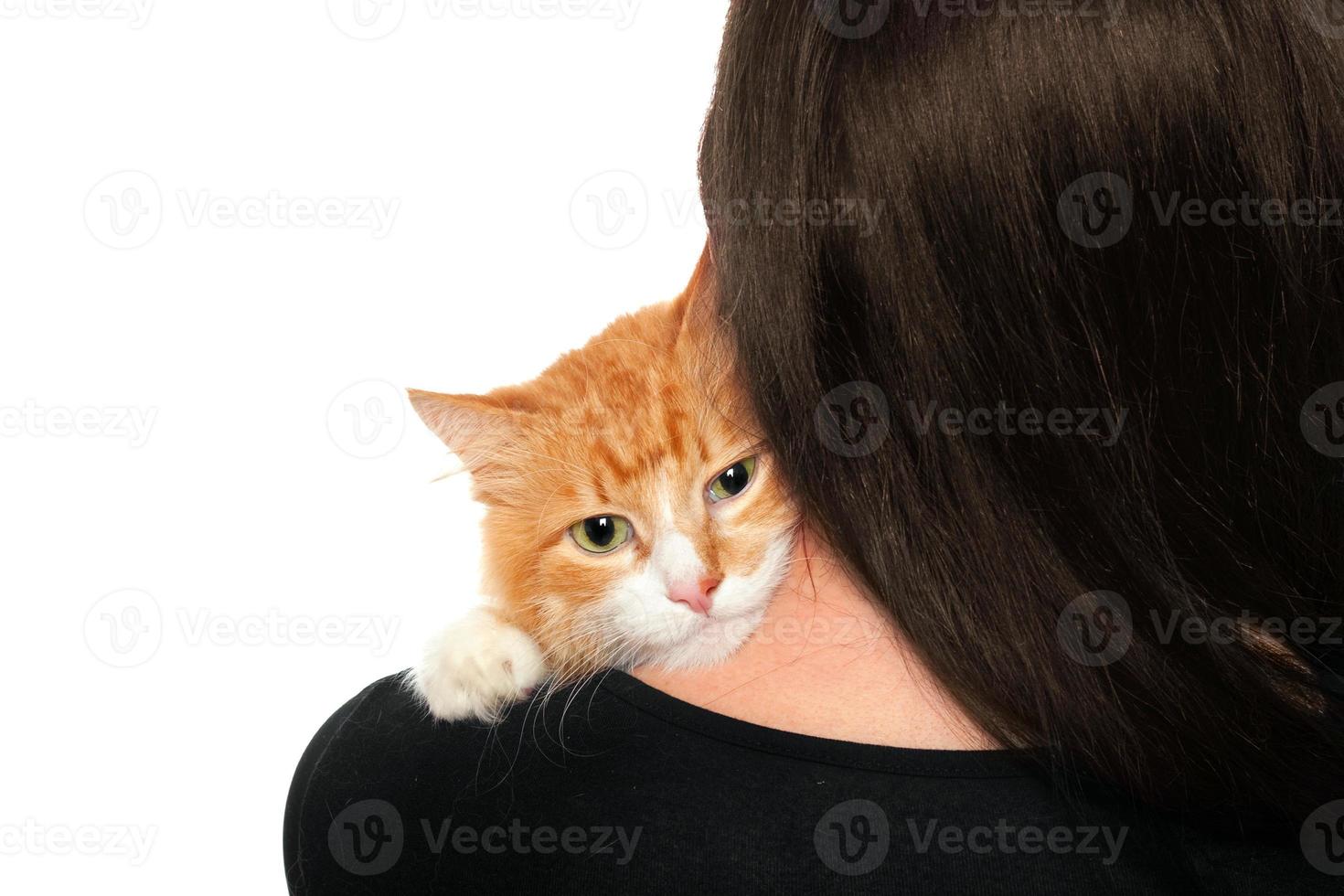 Kitten on the shoulders of women photo