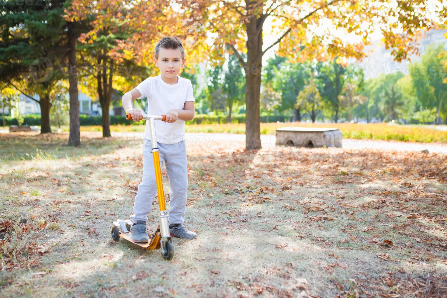 Pensive boy in the park photo