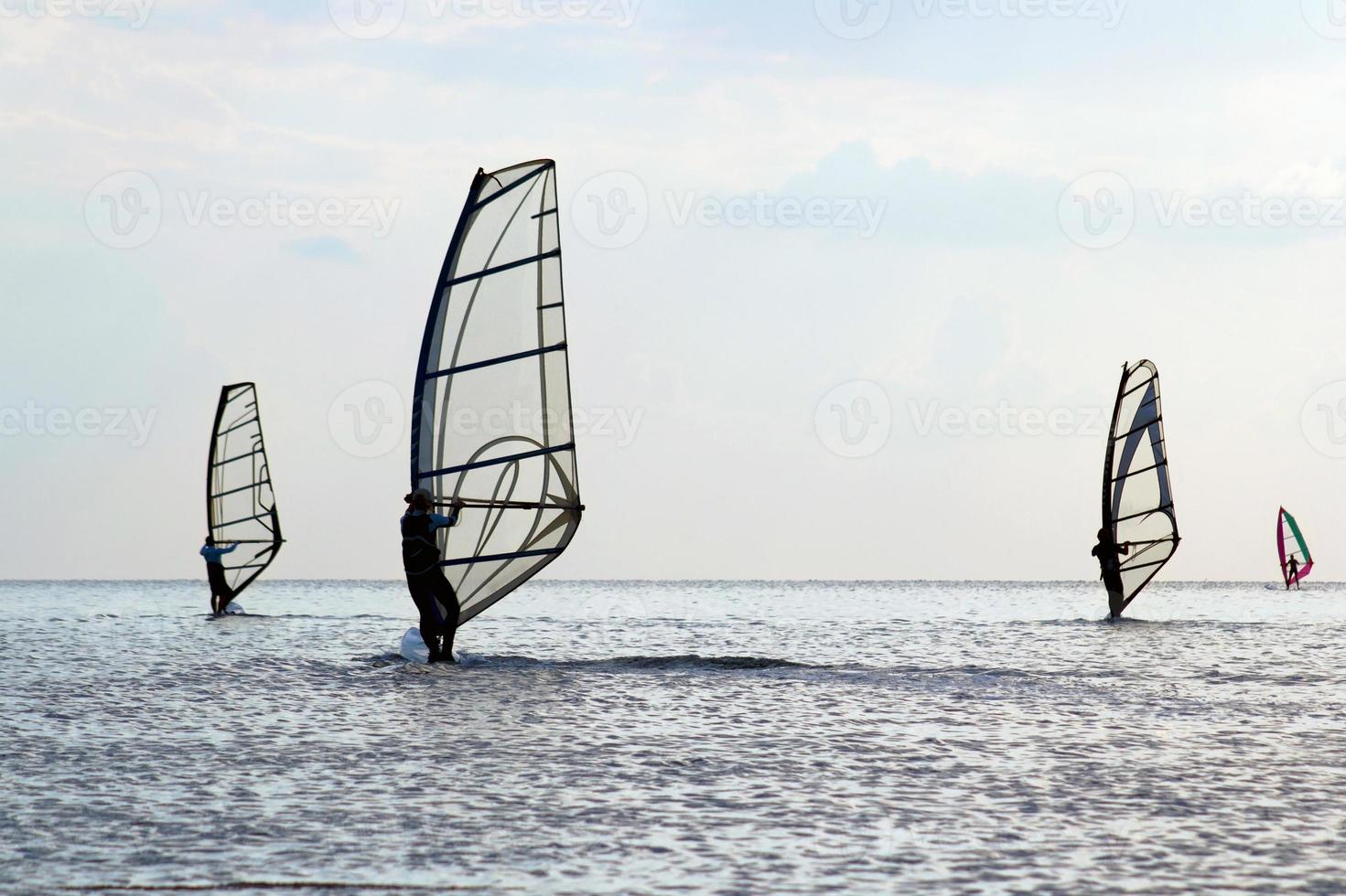 Silhouettes of a four windsurfers photo