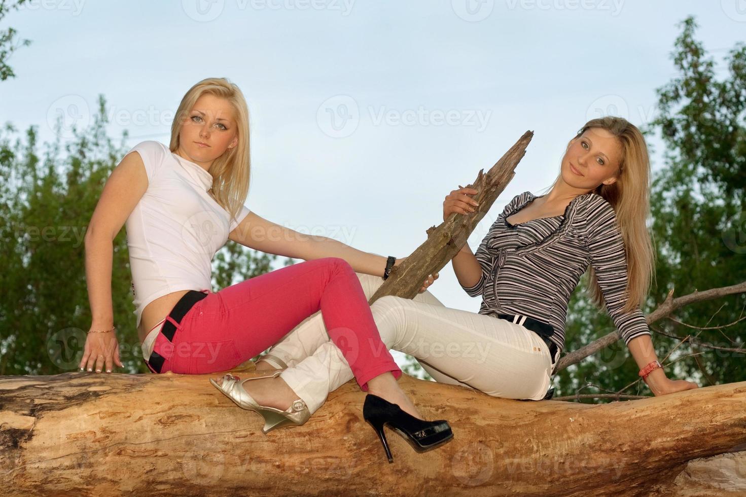 Two beautiful blonde sitting on a tree branch photo