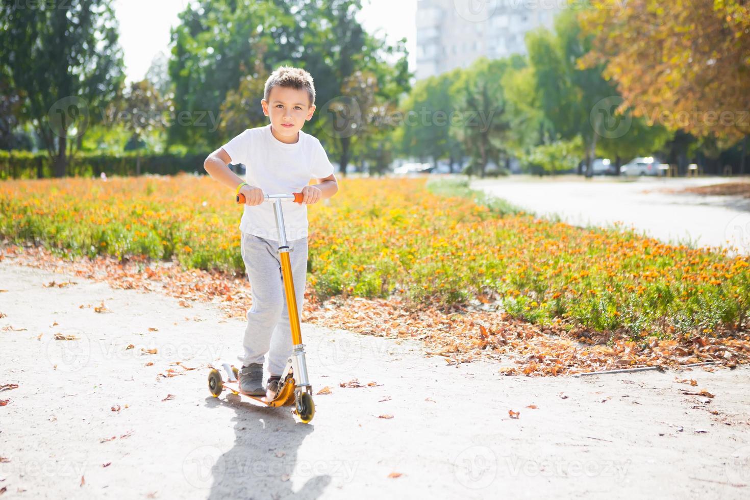 Little handsome boy in the park photo