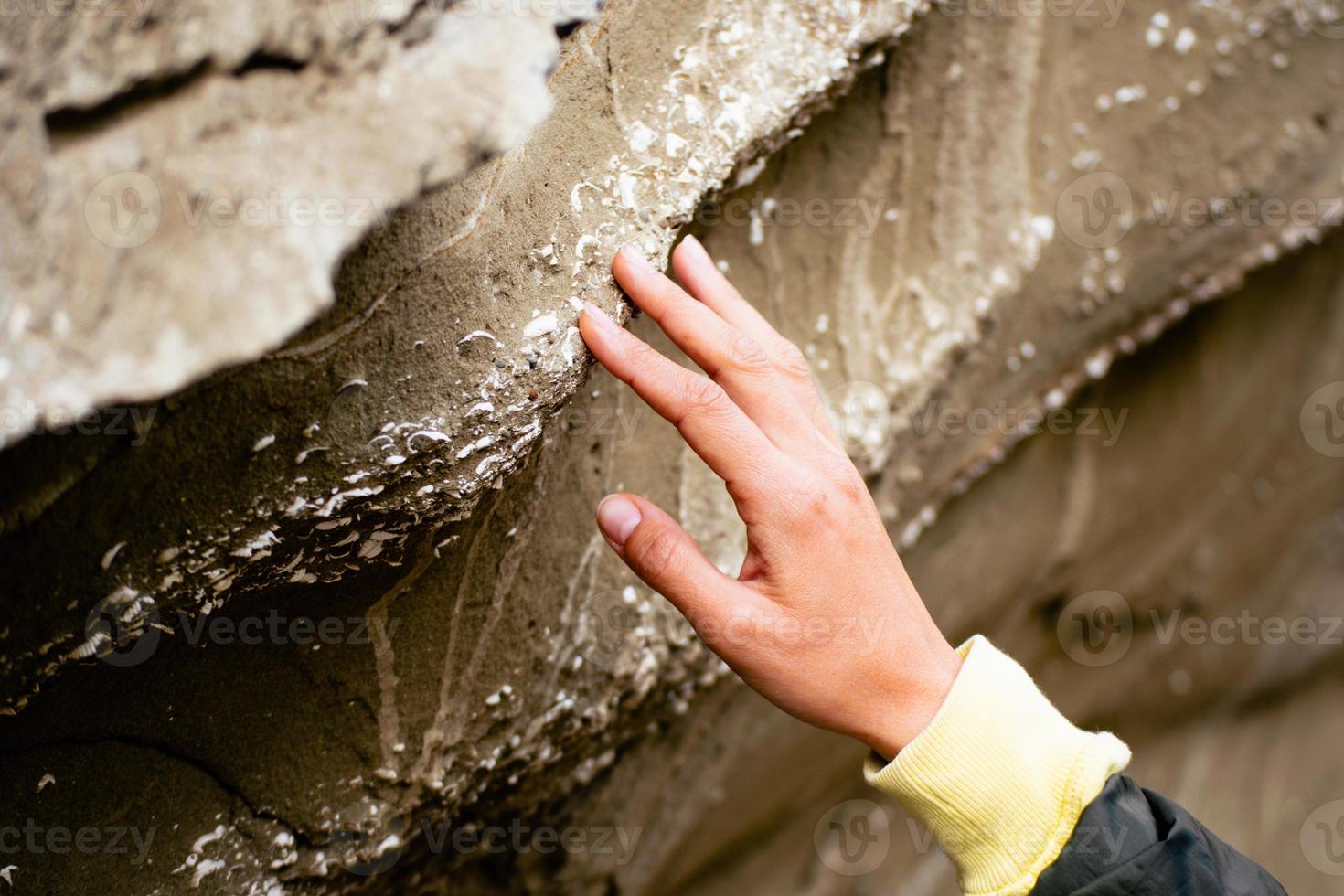 Hand touch close up prehistorical artifacts-shell fossils in stone in Pantishara - Datvis khevi valley in Vashlovani national park photo