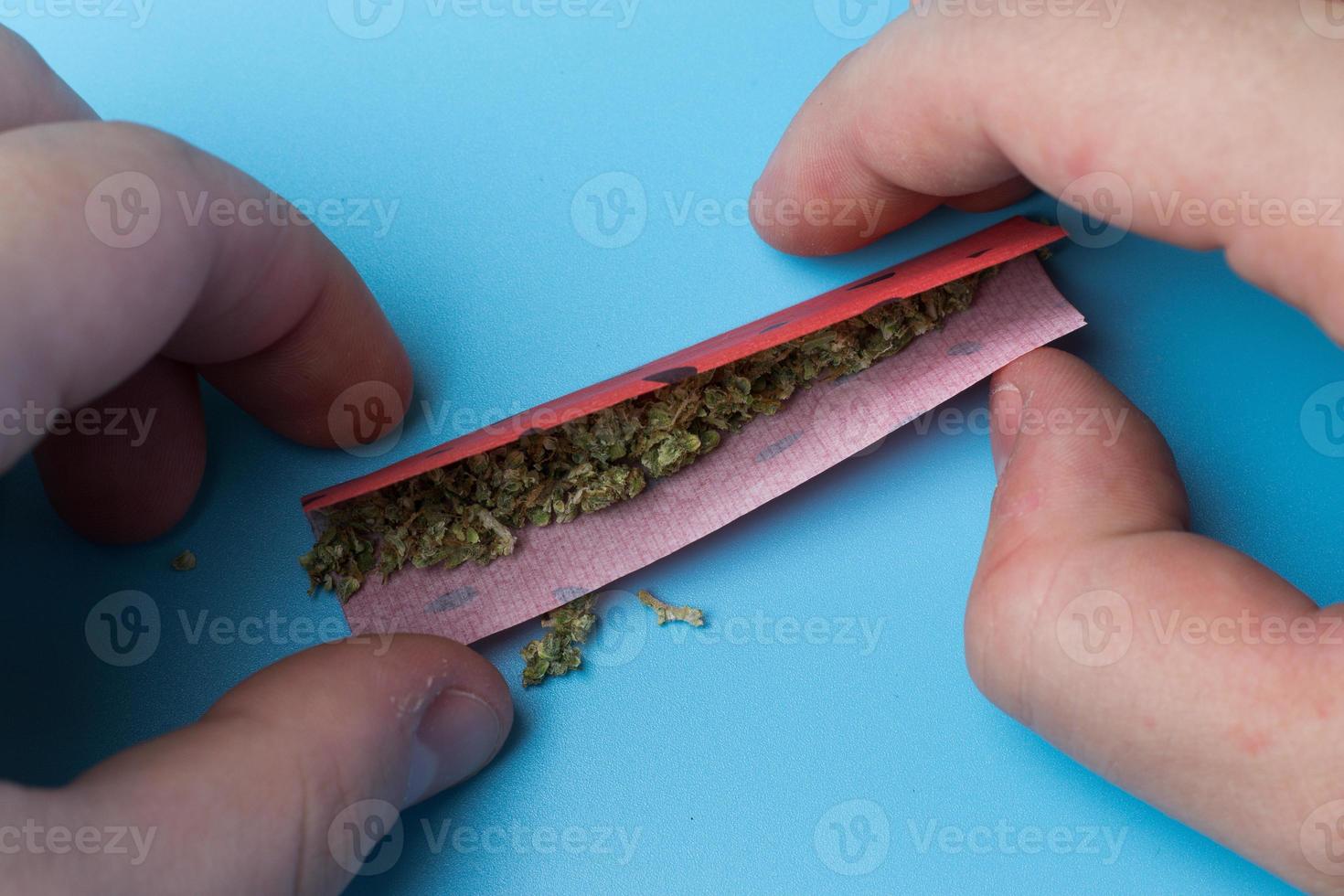 Rolling marijuana joint close-up. Use of legal cannabis. Weed concept design template for web photo