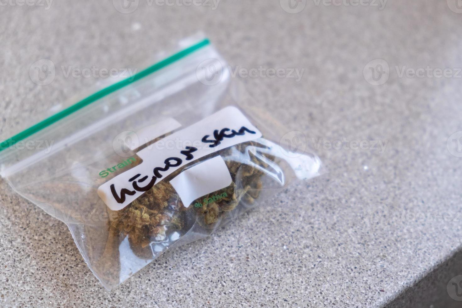 Cannabis sativa strain in zip-lock photo