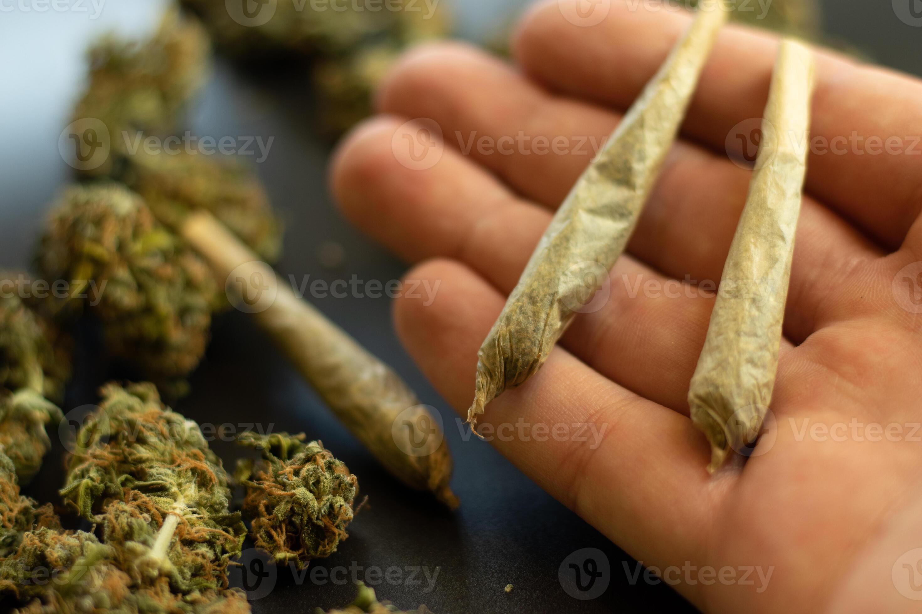 Cone cannabis joints closeup on hand palm, blurry background with