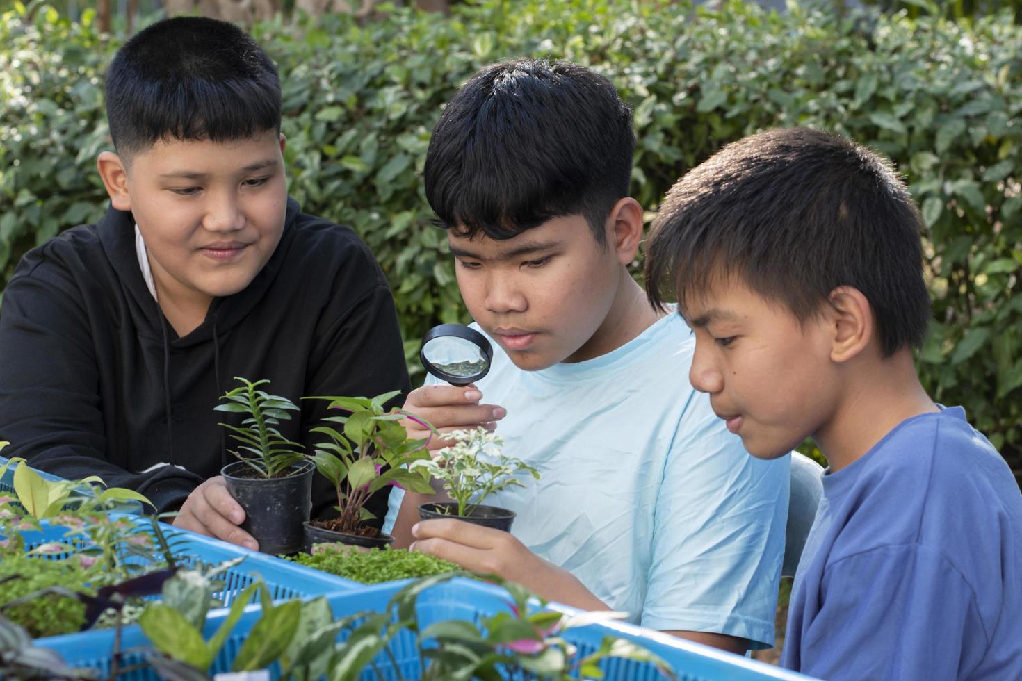 un grupo de jóvenes asiáticos sostiene una lupa y plantas en macetas y mira a través de la lente para estudiar especies de plantas y hacer proyectos, concepto de aprendizaje en el aula al aire libre, enfoque suave y selectivo. foto