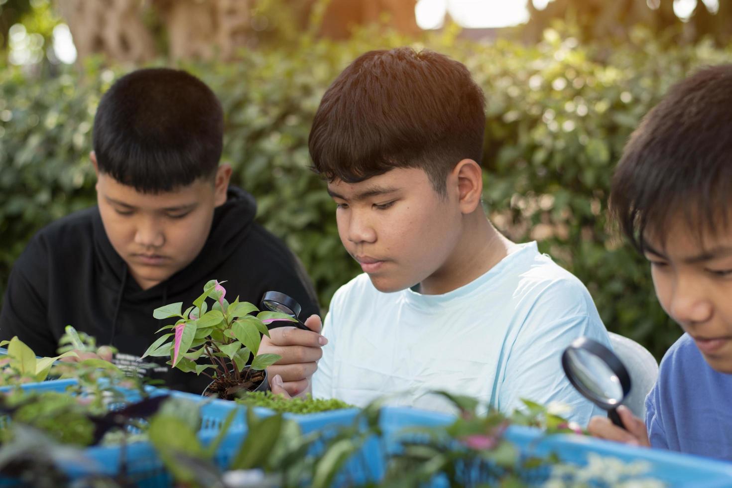 un grupo de jóvenes asiáticos sostiene una lupa y plantas en macetas y mira a través de la lente para estudiar especies de plantas y hacer proyectos, concepto de aprendizaje en el aula al aire libre, enfoque suave y selectivo. foto