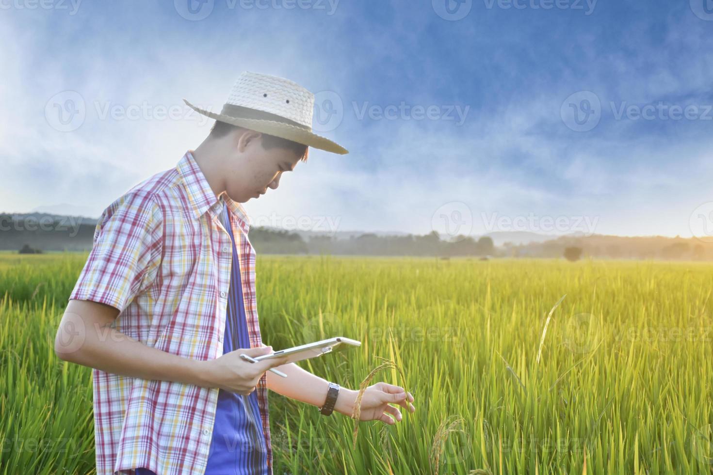 Asian teen boy in plaid shirt wears hat, bending down and holding an ear of rice to check quality of rice and to store details into his tablet in local rice paddy field, rice project work of children. photo