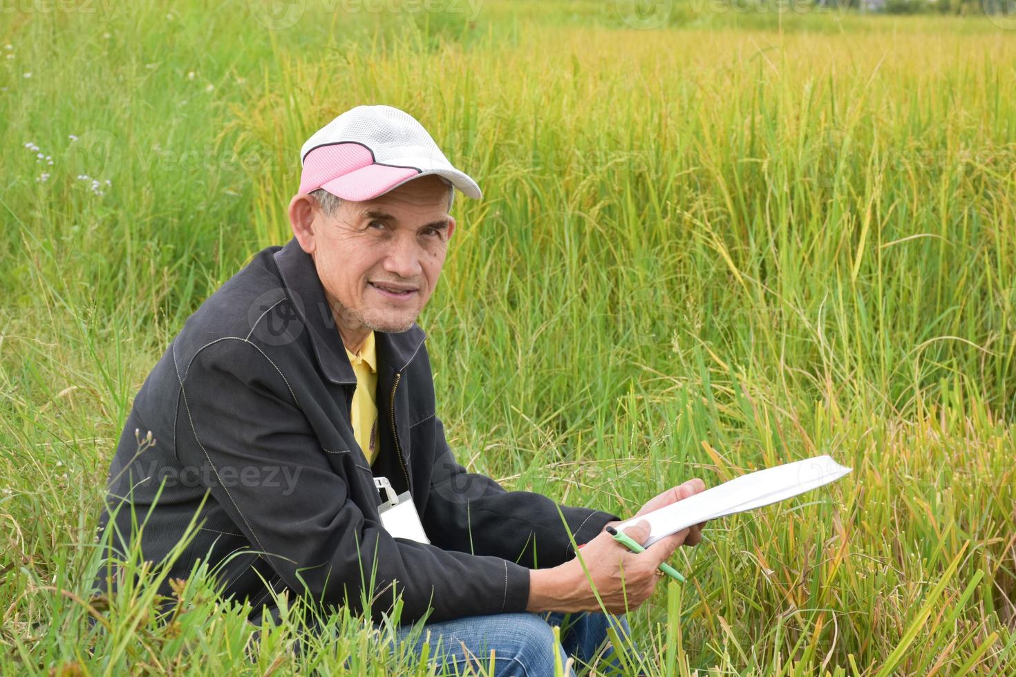 retrato de un anciano asiático que usa gorra, sostiene papel de carta, se sienta en arrozales para almacenar y hacer análisis de cultivo de arroz, compostaje e insecticida después de usarlo en tierras de cultivo, enfoque suave. foto