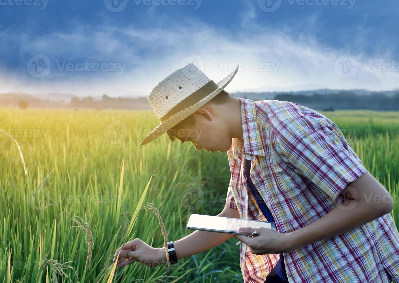 Asian teen boy in plaid shirt wears hat, bending down and holding an ear of rice to check quality of rice and to store details into his tablet in local rice paddy field, rice project work of children. photo