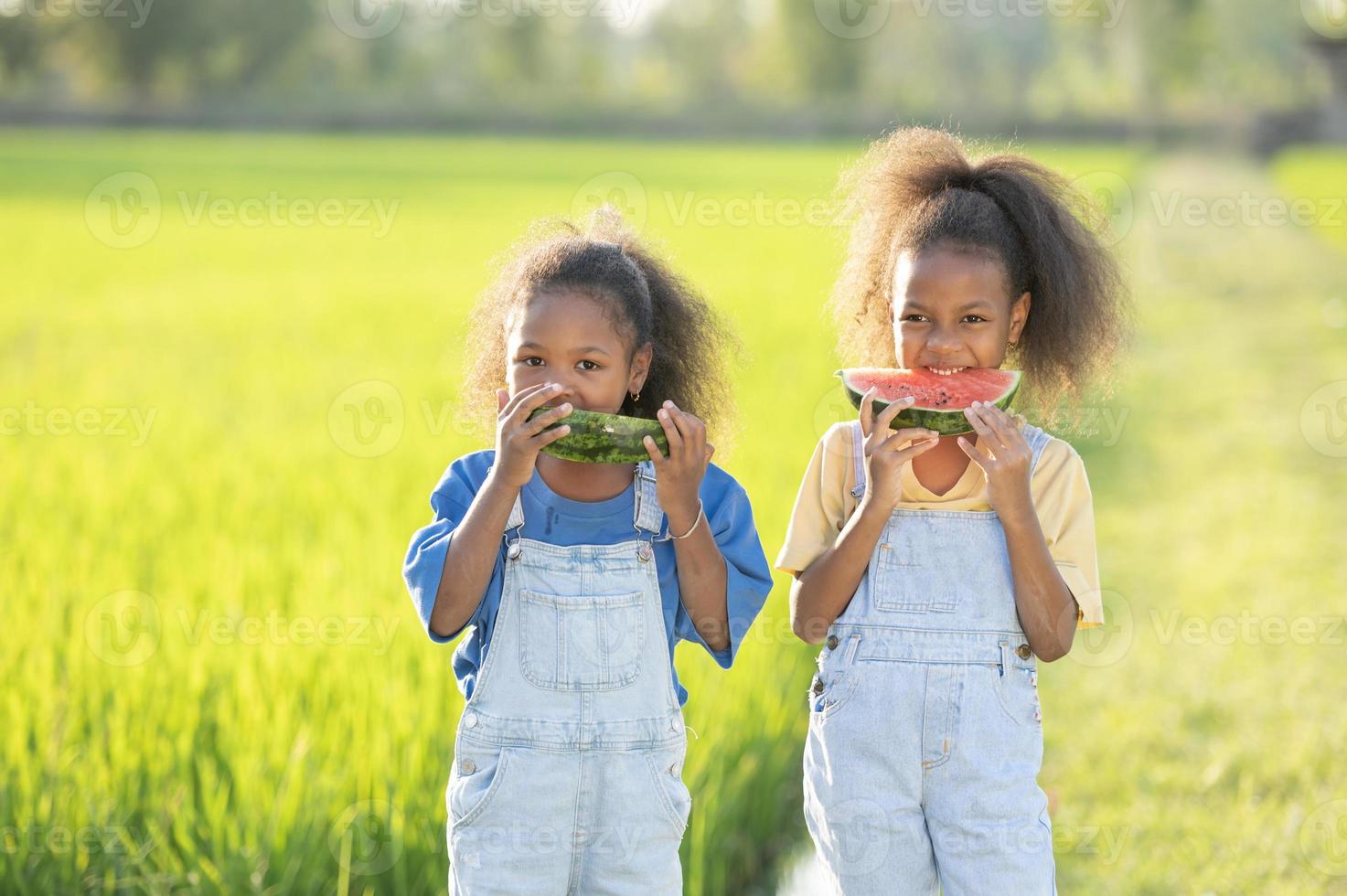 Black skinned cute little girl eating watermelon outdoors green rice field backdrop African child eating watermelon photo